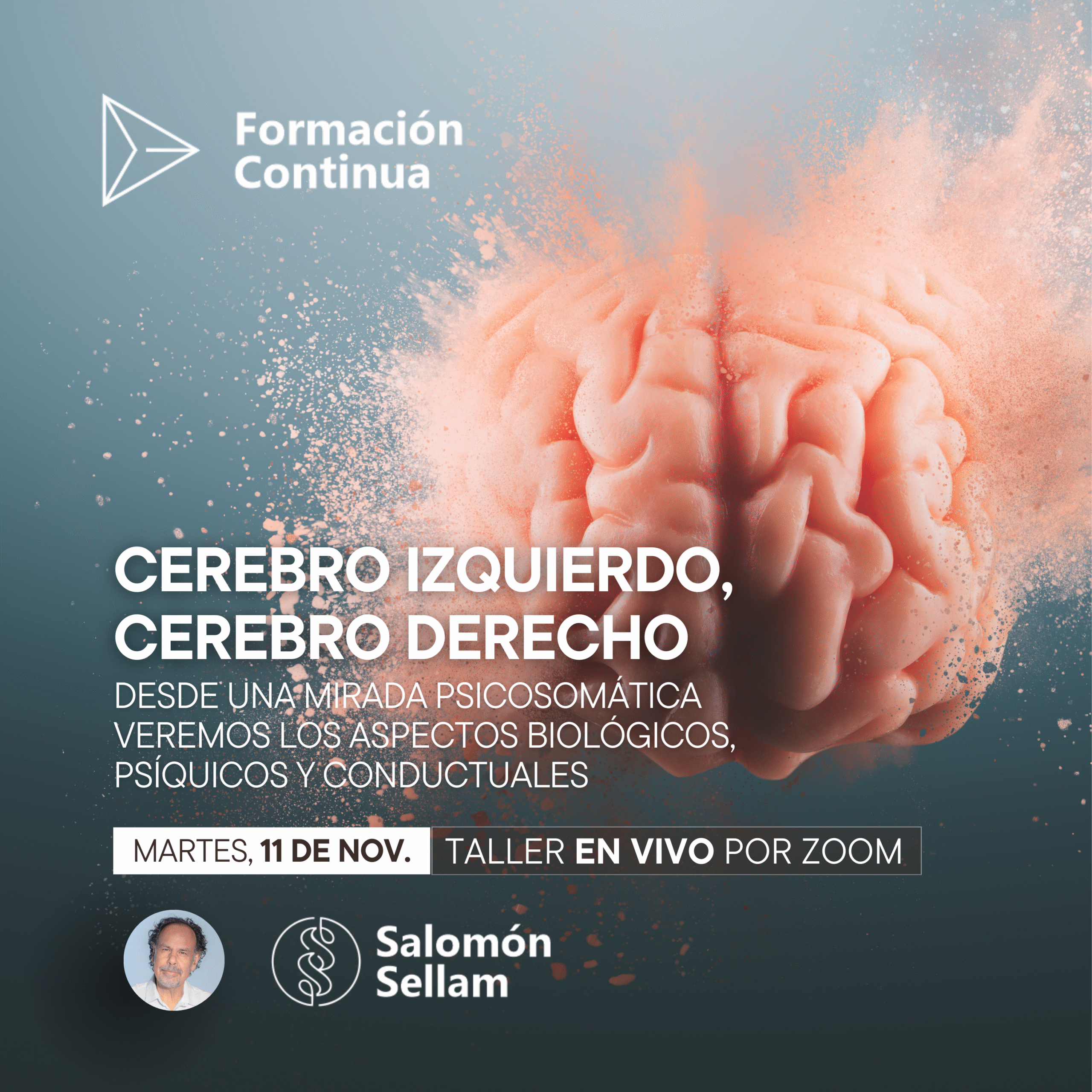 CEREBRO IZQUIERDO, CEREBRO DERECHO