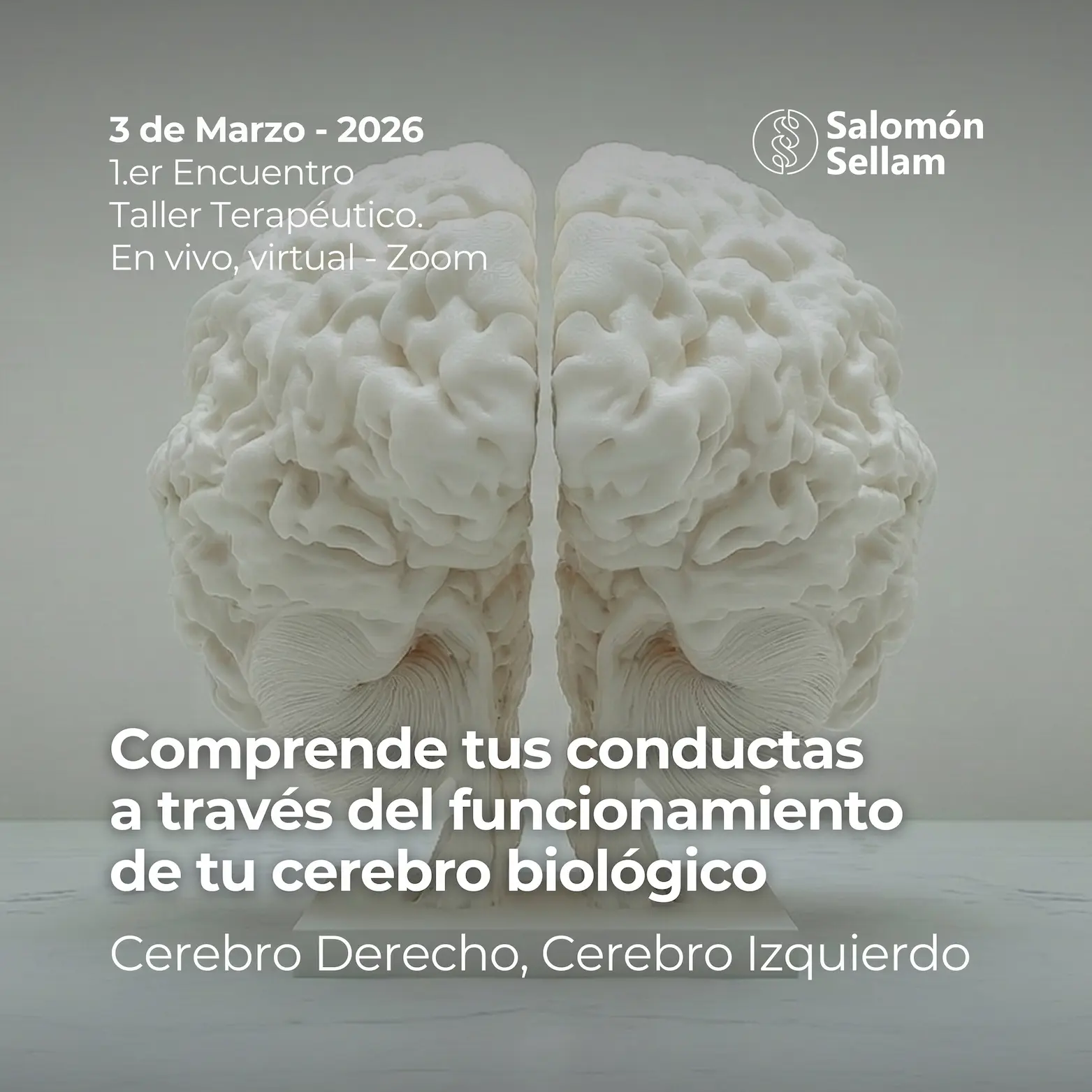 Cerebro Derecho Cerebro Izquierdo